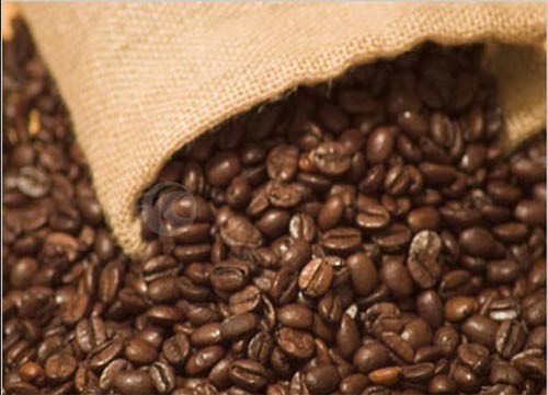 Cà phê Việt sẽ tăng giá trong vụ tới
