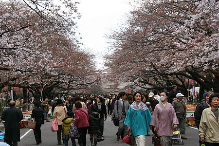 Tokyo trong những năm gần đây được biết đến nhu là một trong những địa chỉ du lịch hấp dẫn nhất khu vực Châu Á không chỉ bởi phong cảnh thiên nhiên, con người mà còn bởi những nét đẹp văn hóa, những lễ hội đặc sắc.