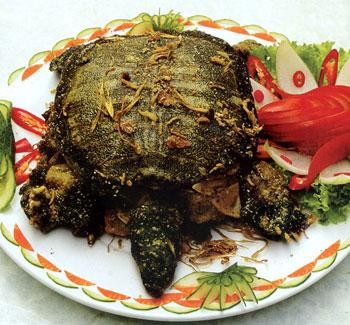 Các món ăn từ rùa đều được họ chế biến cầu kỳ như rang muối, hầm...
