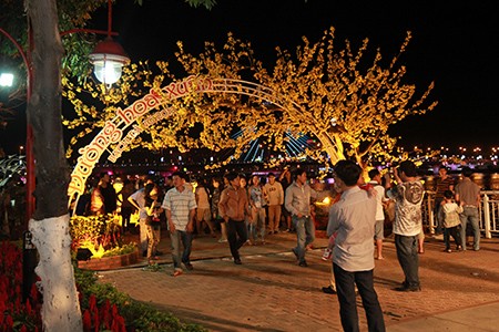 Vẻ đẹp của đường hoa thổi nóng cả bầu không khí xuân cho thành phố Đà Nẵng