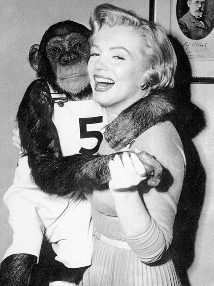 Marilyn Monroe thời trẻ khi tham gia vở hài kịch "Monkey Business" năm 1952 cùng với một chú tinh tinh.
