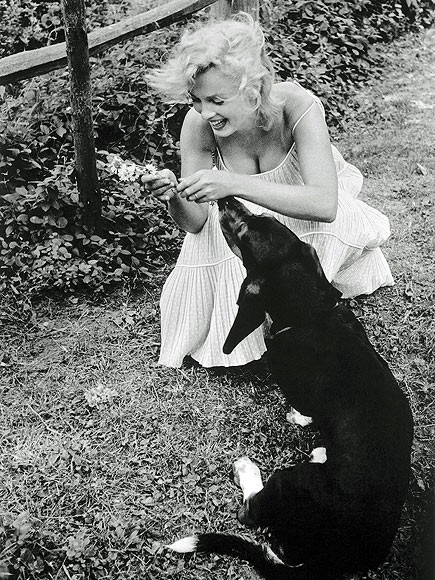 Năm 1957, Marilyn và người chồng thứ 3 của bà - nhà viết kịch Arthur Miller đã cùng nhau nuôi một chú chó có tên Hugo. Trong suốt quãng thời gian ở quê nhà tại Roxbury, Conn, Marilyn dành khá nhiều thời gian vui chơi cùng chú cún đáng yêu này.
