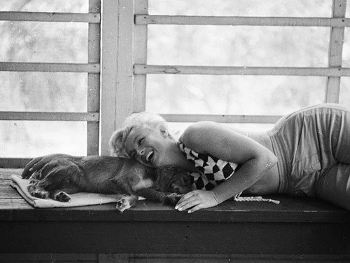 2 năm trước khi bà qua đời năm 1962, Marilyn dành nhiều thời gian chơi đùa với những chú cún cưng.
