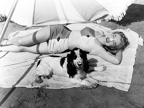 Bức ảnh Marilyn chụp với chú chó Ruffles năm 1947.