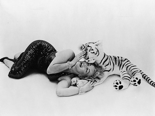 Marilyn chụp hình với một chú hổ đồ chơi năm 1957.