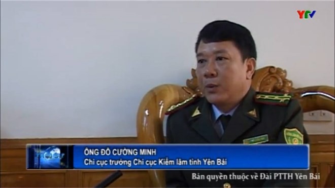 Ông Đỗ Cường Minh là Chi cục trưởng Chi cục Kiểm lâm tỉnh Yên Bái (Nguồn: TYV).